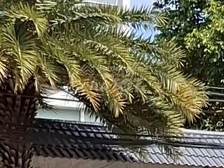 Bán 221m2 đất xd biệt thự, mt đường s15, hiệp bình chánh, tđ