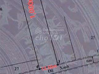 Bán 1.000m2 đất đường 6m, lý nhơn, cần giờ