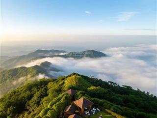 Dili green hill nơi của những tình yêu thiên nhiên