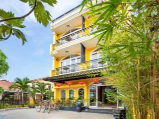 Bán villa tại khối an mỹ, phường cẩm châu, hội an, diện tích 380m2 view lúa trực diện