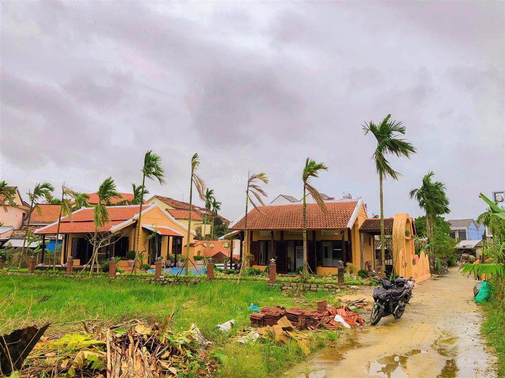 Bán căn hộ view lúa diện tích 382m khu thanh tây cẩm châu