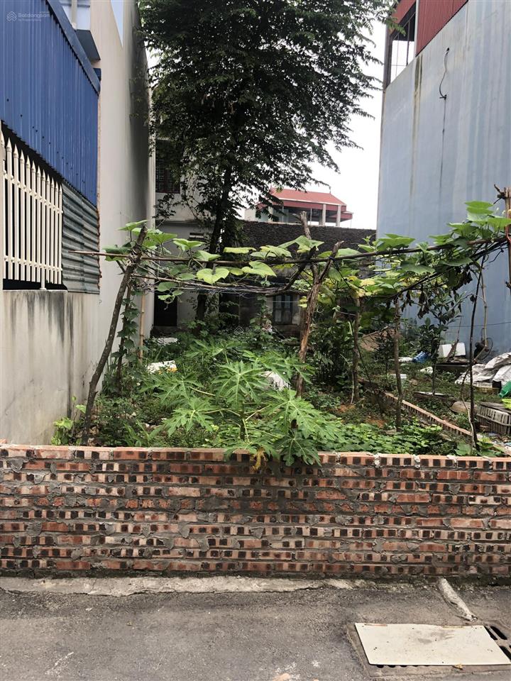 Cần bán 3 lô đất lễ pháp, tiên dương, đông anh, hà nội