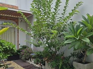 Siêu phẩm nhà vừa ở vừa cho thuê khu vực sầm uất ngay sát aeon tân phú dt ngang 12 mét dài 18 mét