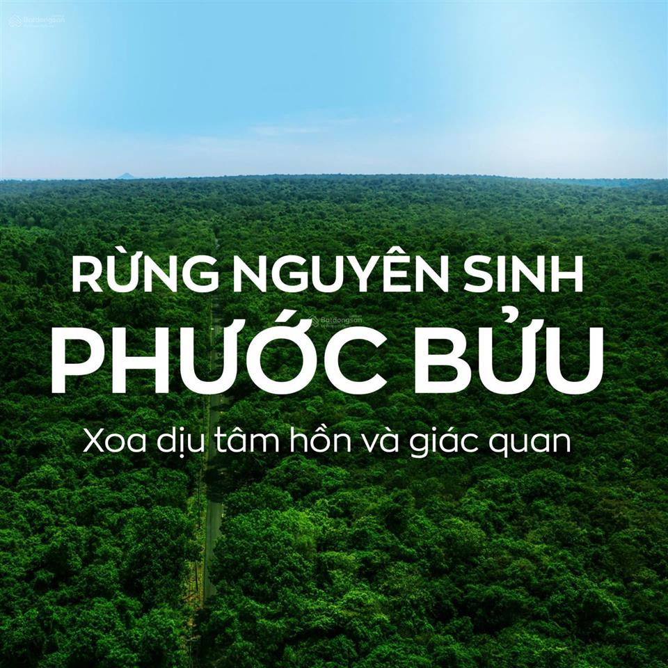 Condotel do fusion vận hành, cam kết lợi nhuận 6% năm. tt giãn 4 năm, đủ 50% nhận nhà