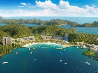 Đầu tư sinh lời, an cư lý tưởng chọn xanh island