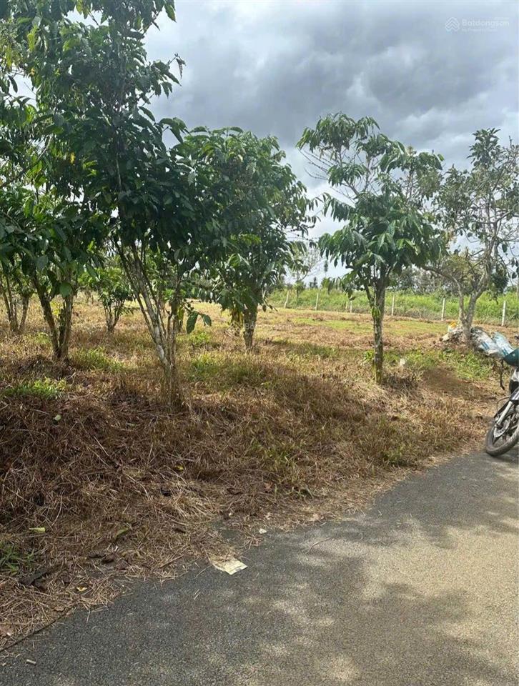 Bán đất ngộp sẵn thổ cư (2887m2) thôn 2 tân lạc giá cực ngộp