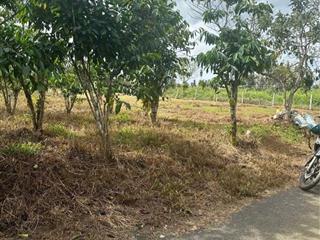 Bán đất ngộp sẵn thổ cư (2887m2) thôn 2 tân lạc giá cực ngộp