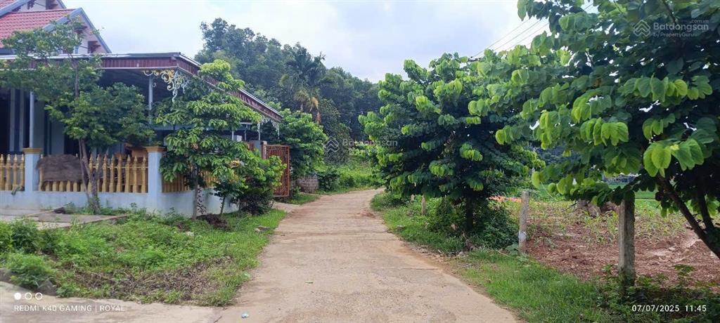 Bán đất nền lạc thuỷ, đẹp rẻ nhất thị trường ra hàng giá đợt đầu tiên