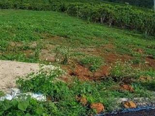 Bán đất tại đt 725, lộc ngãi, bảo lâm, lâm đồng, 915 triệu, 259.4 m2 giá ưu đãi