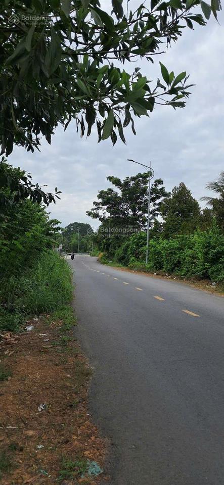 Bán đất mặt tiền đường 20m trường xuân, long hoa, hòa thành, tây ninh, 720m², có 100m² thổ cư