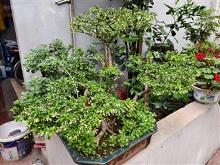 Cho thuê phòng trọ 1pn, 1wc, giá tốt tại số 28 ngõ 150 ngách 55/15 phố tân khai, hoàng mai, hà nội