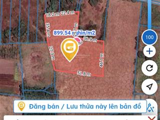 800triệu/sào khách thiện chí tl giá. cần bán gấp. cách đường nhựa 100m