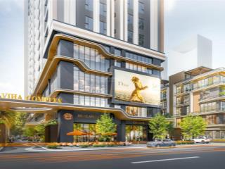 Duplex vip viha complex 107 nguyễn tuân