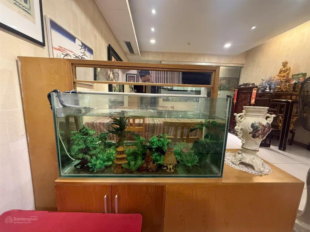 Nguyễn hoàng  trần bình  căn hộ chung cư dolphin plaza  3pn