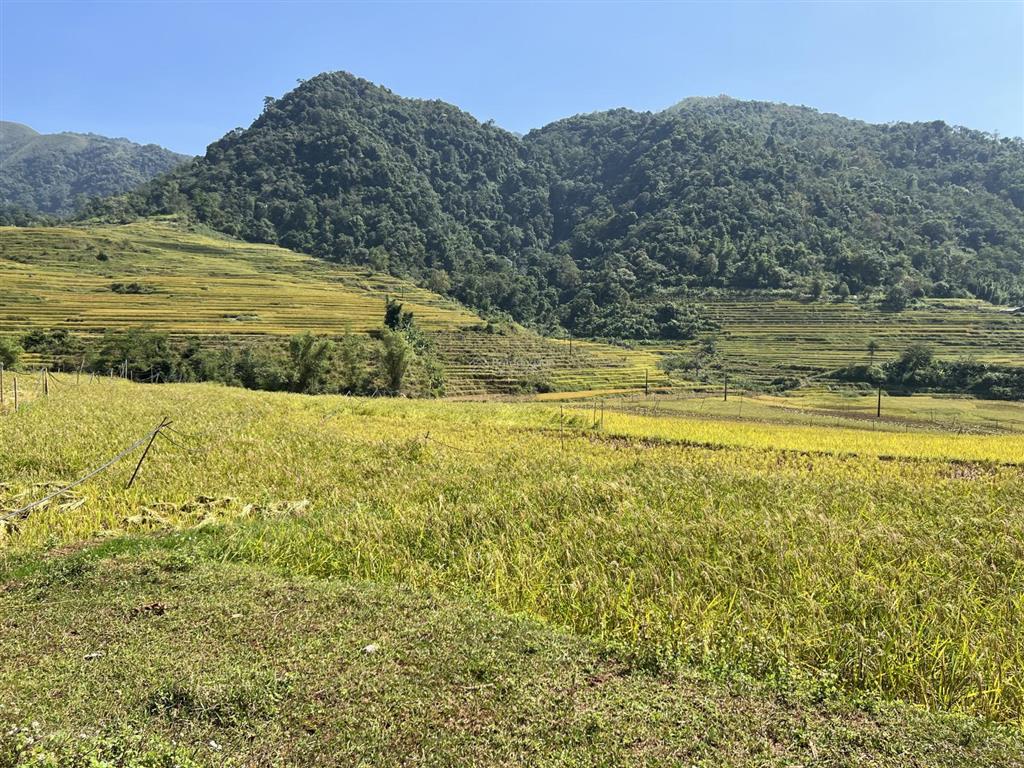 Chính chủ bán mảnh đất tại cao phong, hòa bình, 1003 m² đường ô tô tải liên xã