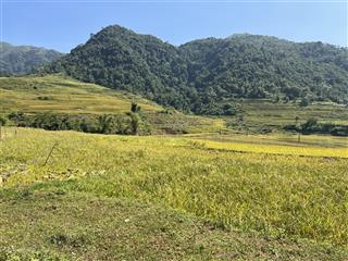Chính chủ bán mảnh đất tại cao phong, hoà bình, 1003 m2 đường ô tô tải liên xã