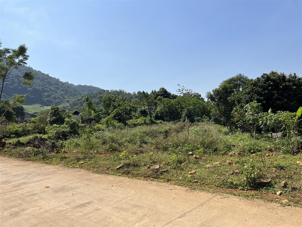 Chính chủ bán mảnh đất tại cao phong, hòa bình, 1003 m² đường ô tô tải liên xã