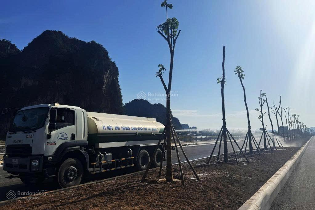 "gãy cầu" chính chủ nhờ bán lô đất"vàng"mặt biển tp cẩm phả giá bay nhanh sổ hồng trao tay