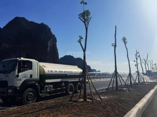 "gãy cầu" chính chủ nhờ bán lô đất"vàng"mặt biển tp cẩm phả giá bay nhanh sổ hồng trao tay