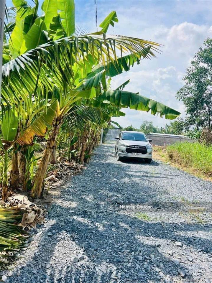 Bán đất 120m2 tại tô nguyệt đình, 650 triệu, bà rịa, vũng tàu