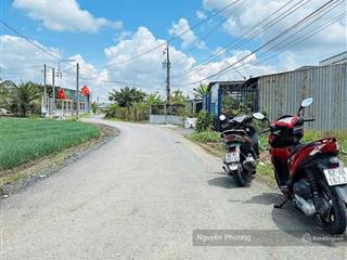 Chính chủ gửi bán đất mt đường 5m, cách chợ đào 1,5km. dt 135m2 giá 750tr/lô. shr, đất thổ