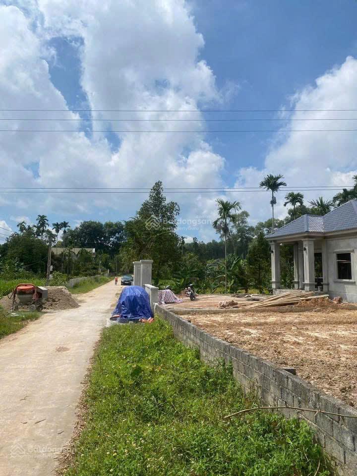 Lô đất 330 triệu tại triệu sơn thanh hóa