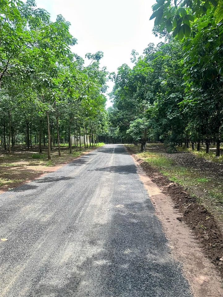 Bán đất 1000m2 tại xã thuận lợi, đồng phú, bình phước, giá tốt 510 triệu