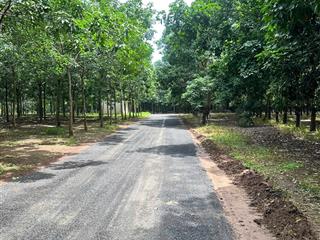 Bán đất 1000m2 tại xã thuận lợi, đồng phú, bình phước, giá tốt 510 triệu