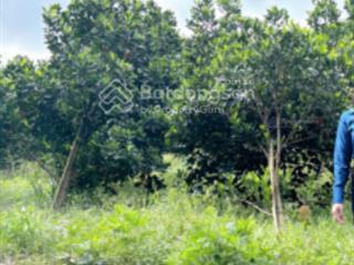 Bán đất 500m2 giá 800triệu sổ hồng riêng. mặt tiền đường nhựa 12m dân đông