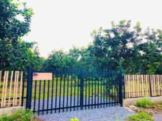 Đất vườn giá rẻ.full hồng ạ.đang trồng cây ăn trái