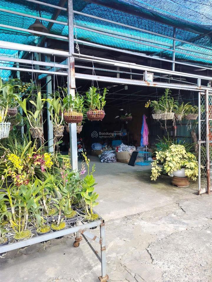 Chủ gửi bán mặt tiền kinh doanh quốc lộ 91, bình đức, long xuyên, an giang giá 8.5 tỷ đồng