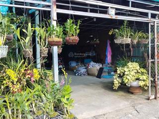 Chủ gửi bán mặt tiền kinh doanh quốc lộ 91, bình đức, long xuyên, an giang giá 8.5 tỷ đồng