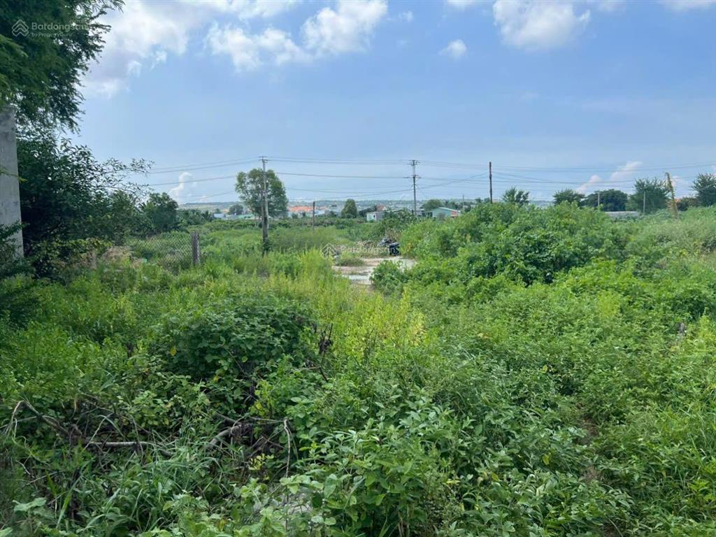 Ngân hàng thanh lý lô đất full thổ cư tại tt phú long, hàm thuận bắc, bình thuận giá chỉ 2.2 tỷ