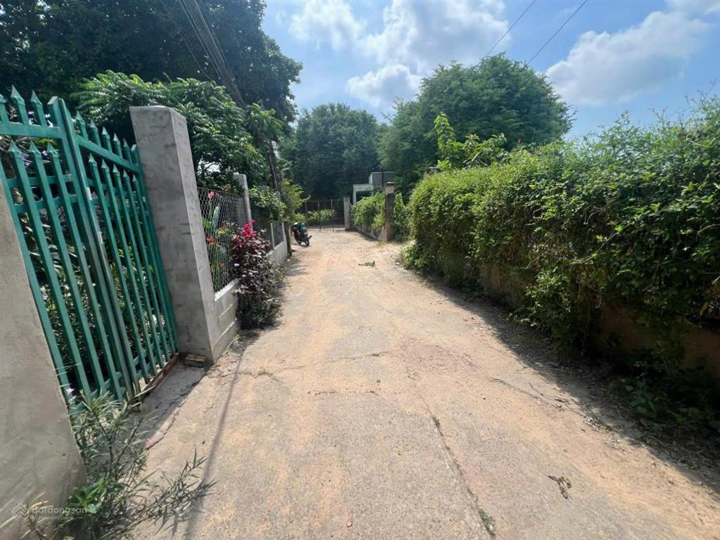 Ngân hàng thanh lý lô đất full thổ cư tại tt phú long, hàm thuận bắc, bình thuận giá chỉ 2.2 tỷ