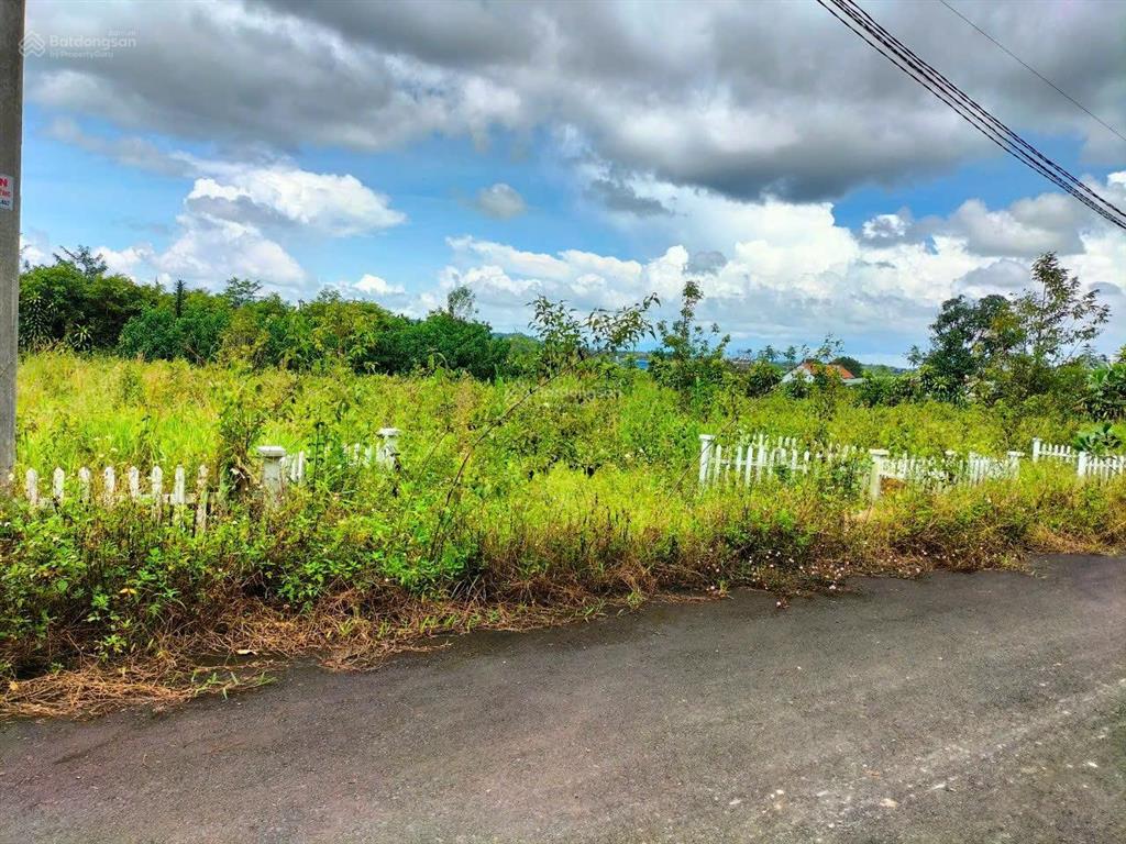 Ngân hàng thanh lý lô đất 510m2 tại lộc châu, bảo lộc, lâm đồng giá tốt