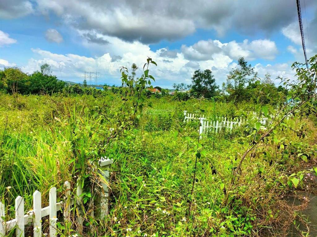 Ngân hàng thanh lý lô đất 510m2 tại lộc châu, bảo lộc, lâm đồng giá tốt