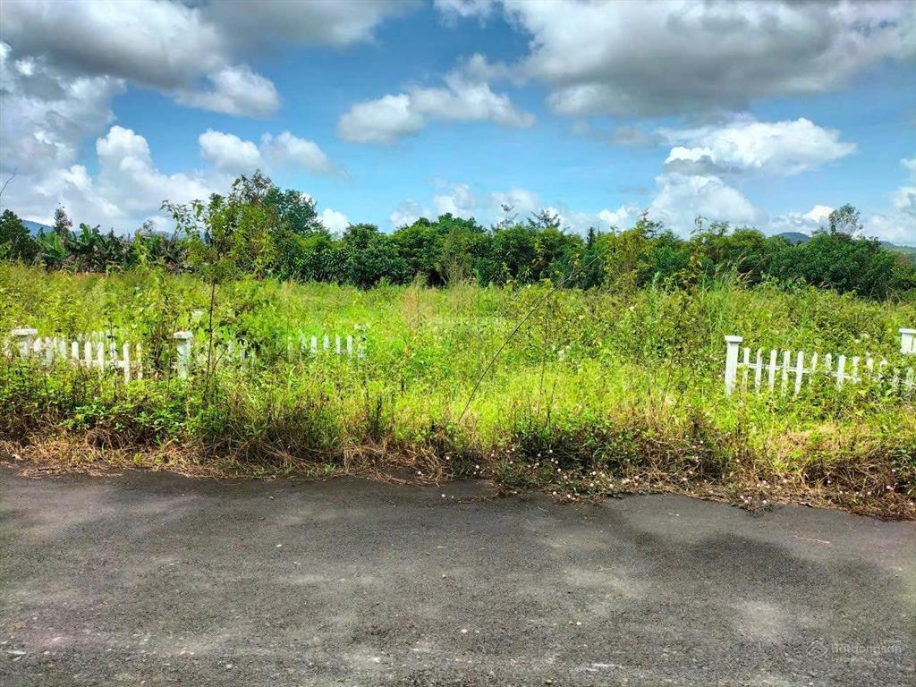 Ngân hàng thanh lý lô đất 510m2 tại lộc châu, bảo lộc, lâm đồng giá tốt