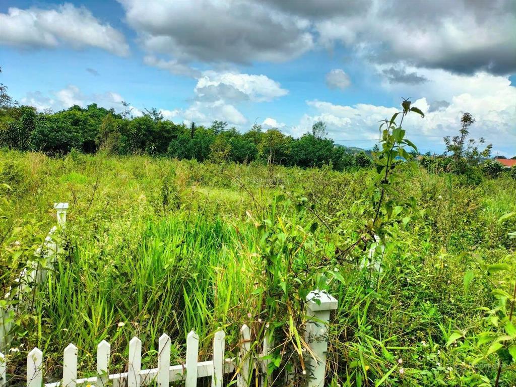 Ngân hàng thanh lý lô đất 510m2 tại lộc châu, bảo lộc, lâm đồng giá tốt