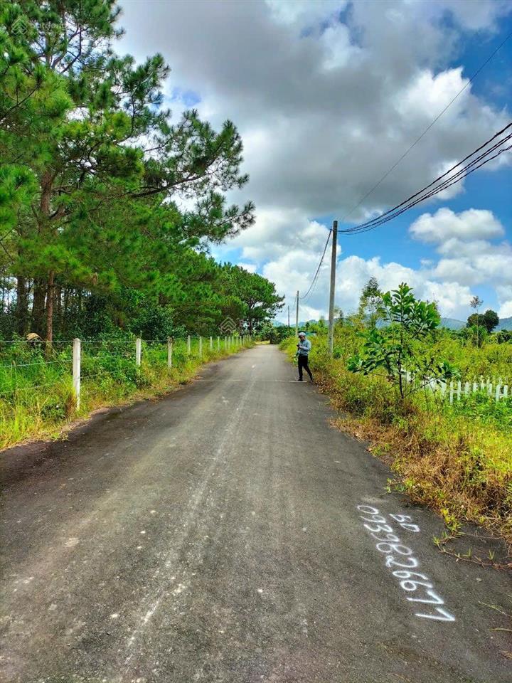 Ngân hàng thanh lý lô đất 510m2 tại lộc châu, bảo lộc, lâm đồng giá tốt