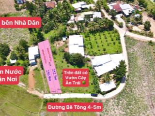 Đất diên xuân  diên khánh giá rẻ  chỉ 1,6 triệu/m2