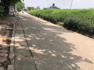 Thuý lĩnh  hoàng mai  bán đất tặng nhà  224m2  lô đất vuông đẹp  24.5tỷ