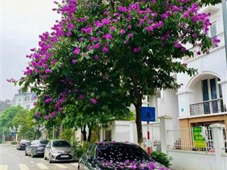 BÁN BIỆT THỰ SONG LẬP KHU ĐÔ THỊ LIDECO – DIỆN TÍCH 234,9M² – HƯỚNG ĐÔNG BẮC – NHÀ 5 TẦNG 
