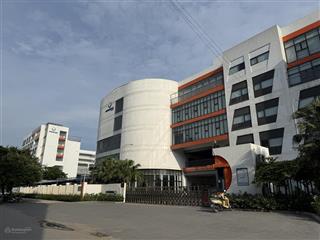 Bán đất khu tđc tu hoàng, trường phenikaa 80m2. sổ hoa hậu, giá đầu tư. l/h 0935 929 ***