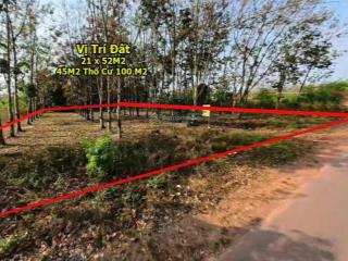 Chủ kẹt tiền trả nợ gấp, cần bán lô 1000 m²  giá sở hữu chỉ 250tr