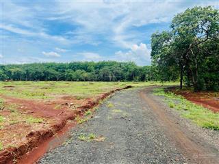Đất nền giá ưu đãi tại thuận lợi, 250 triệu, 2000 m2