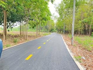 Bán đất 1400m2 tại đường 741, xã an linh, phú giáo, bình dương, giá 500 triệu vnd