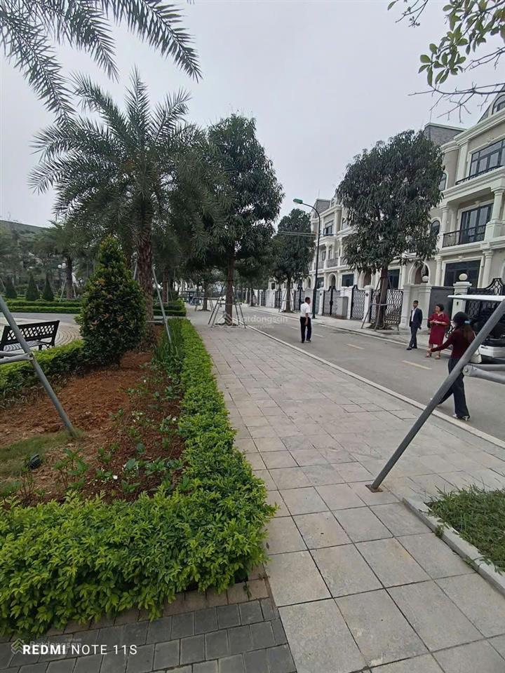 Chính chủ gửi bán biệt thự bt5 ciputra kita, diện tích 150m2, mặt tiền 7m, xây 4 tầng có hầm