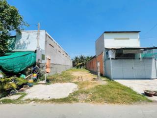 Ông anh cần tiền bán gấp đất nền 305m2 phan thị cộng, tân thông hội, củ chi
