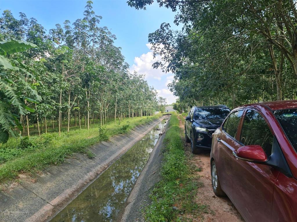 Đất 2mt shr ấp rộc thạnh đức gò dầu tây ninh, dt 1225m2 thổ cư 100m2, cách ql22b chỉ 500m