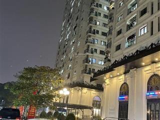 Căn hộ cao cấp iris garden ct3 trần hữu dực  nam từ liêm. sổ đỏ chính chủ cất két  nội thất xịn